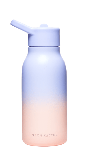 340ml Stainless Steel Bottles